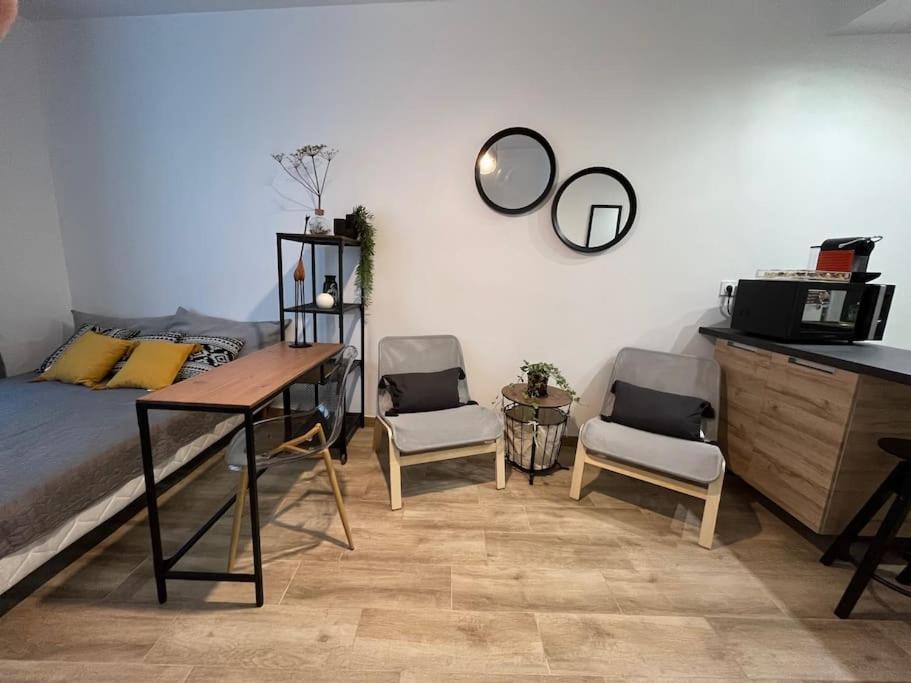 Studio Cosy Rez-De-Chaussee Foix Exteriér fotografie
